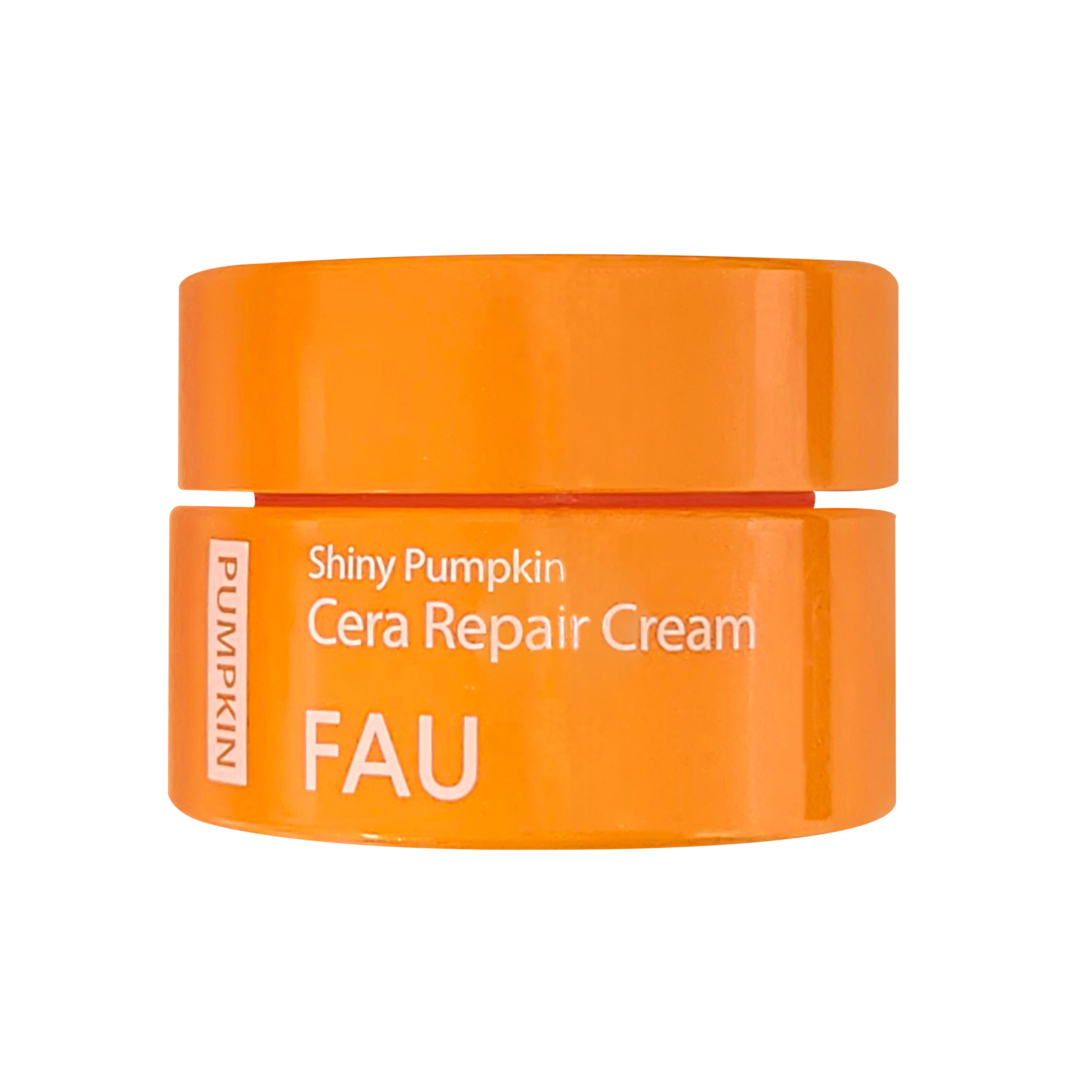 FAU Shiny Pumpkin Travel Kit