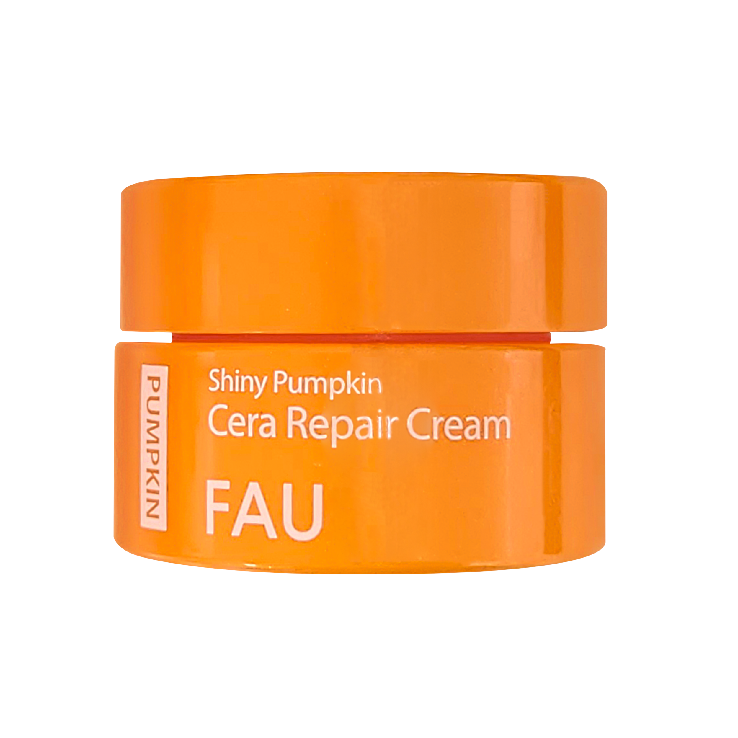 FAU Shiny Pumpkin Travel Kit